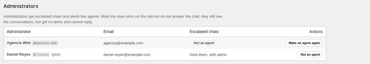 Agents > Administrators: one administrator gets the chats and the agency is marked "Not an agent".