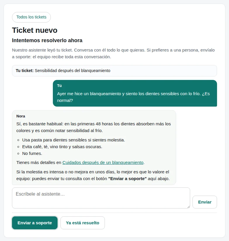 La conversación con el asistente antes del ticket.